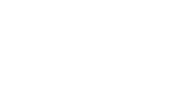 BDS Bookkeeping logo